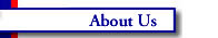 About American Molding & Technologies